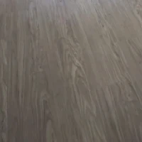 LVT-05