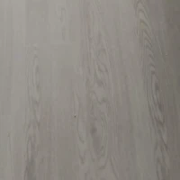 LVT-06 N